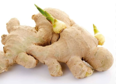Premium 2 Ginger Rhizomes for Planting – Fresh, Healthy Seed Ginger | LankaSeeds