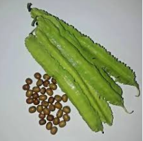 Winged Bean Seeds (10 Seeds) for Planting – High Yield Vegetable | LankaSeeds