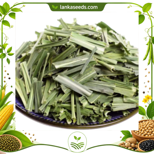 Dried Lemongrass Leaves – Premium Aromatic Herbal Tea Ingredient from Sri Lanka