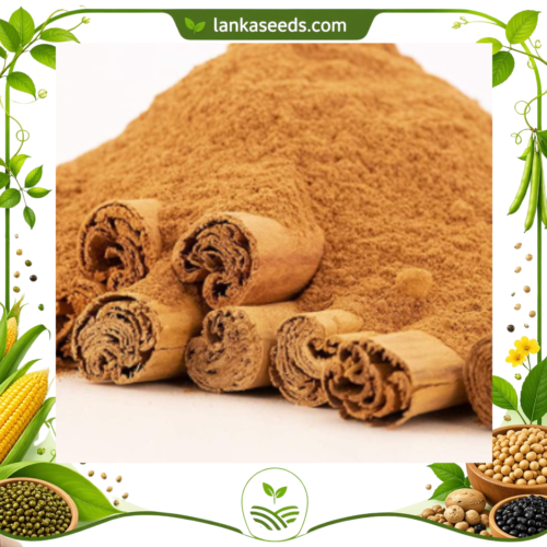 Premium Cinnamon Powder from Sri Lanka | Pure Aromatic Ground Cinnamon
