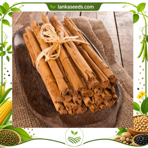 Ceylon Cinnamon Quills (True Cinnamon) – Premium Grade Sri Lanka