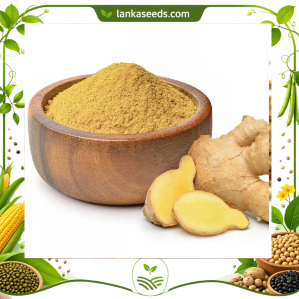 Ginger Powder – Dried & Ground Sri Lankan Ginger