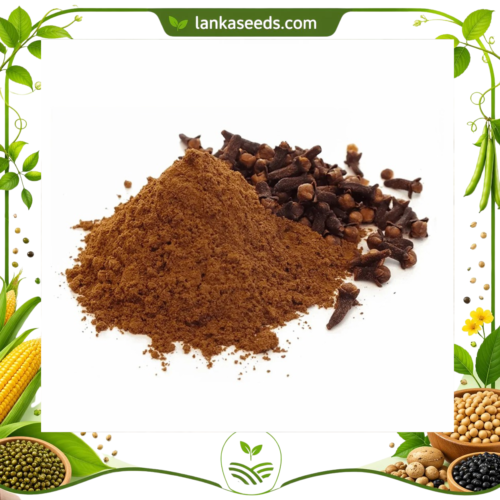 Clove Powder – Finely Ground Aromatic Spice