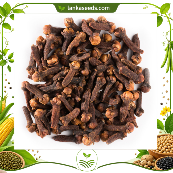 Whole Cloves – Premium Sri Lankan Spice