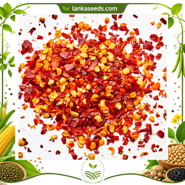 Hot Chili Flakes – Crushed Dried Red Chilies