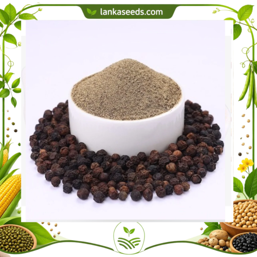 Fresh Ground Black Pepper Powder – Pure Sri Lankan Spice