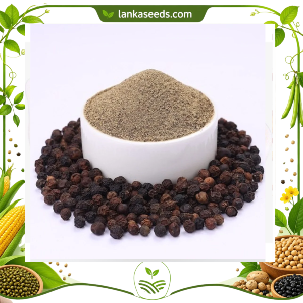 Fresh Ground Black Pepper Powder – Pure Sri Lankan Spice