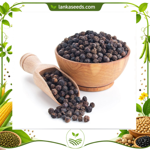 Premium Black Pepper Seeds (Whole) – Sri Lankan Spice