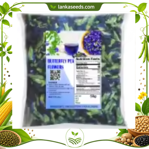 Dried Blue Butterfly Pea Flowers (Clitoria ternatea) – Natural Herbal Tea | Nil Katarolu / Nil Katarodu Sri Lanka