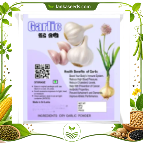 Garlic Powder (Allium sativum) – Premium Natural Spice | Pure Ground Garlic Seasoning