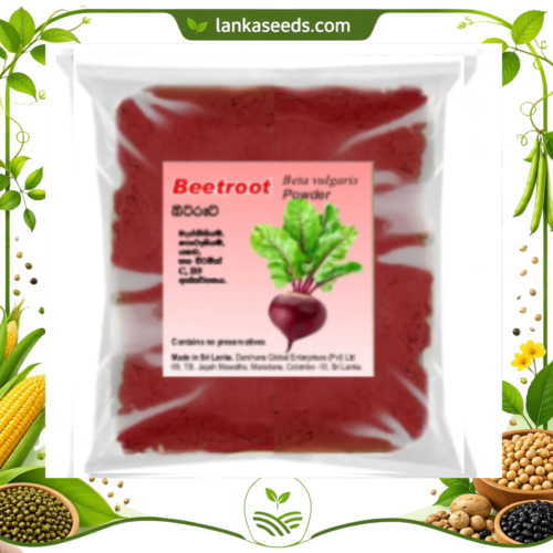 Beetroot Powder – 100% Natural Superfood | Dried Beet Root (Beta vulgaris) Powder