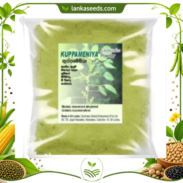 Kuppameni Powder (Acalypha indica) – 100% Natural Herbal Powder | Ayurvedic Skin & Wellness Herb
