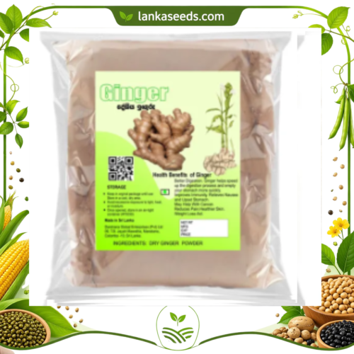 Ginger Powder (Zingiber officinale) – Premium Natural Spice | Pure Dried Ginger Powder