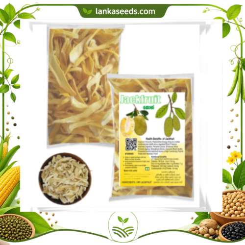 Dried Jackfruit Pieces – Natural Tropical Fruit Snack | Artocarpus heterophyllus (Sri Lankan Dry Jackfruit)