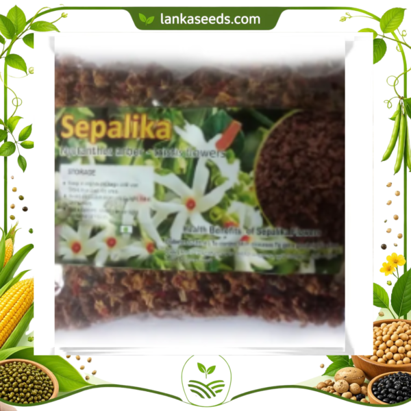 Dried Sepalika Flowers (Nyctanthes arbor-tristis) – Coral Jasmine | Natural Herbal Flowers