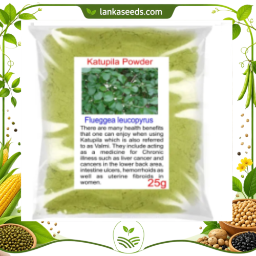 Katupila Powder (Salvadora persica) – 100% Natural Herbal Powder | Traditional Ayurvedic Tooth & Wellness Herb