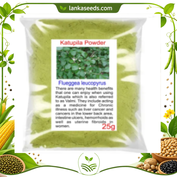 Katupila Powder (Salvadora persica) – 100% Natural Herbal Powder | Traditional Ayurvedic Tooth & Wellness Herb