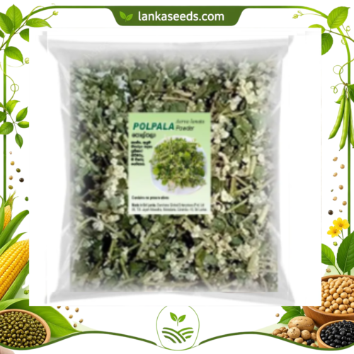 Dried Polpala Pieces (Aerva lanata) – Natural Ayurvedic Herbal Plant | Sri Lankan Polpala Herb