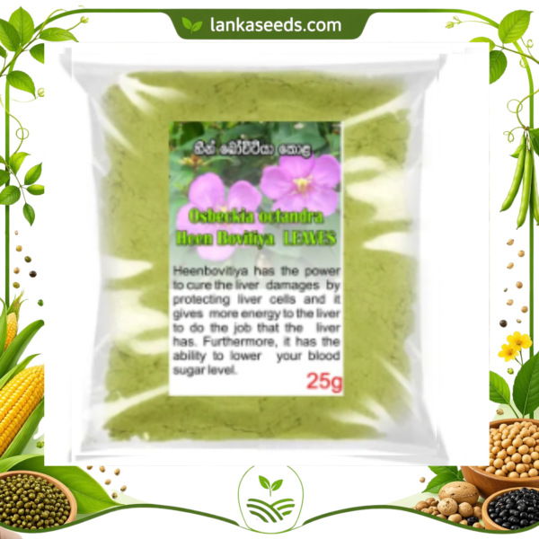 Heen Bovitiya Powder (Osbeckia octandra) – 100% Natural Ayurvedic Herbal Powder | Sri Lankan Medicinal Leaf Powder