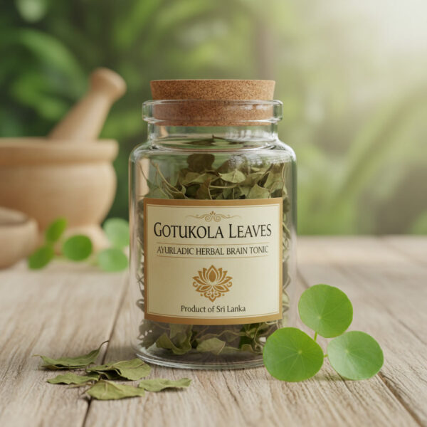 Dried Gotukola Leaves – Ayurvedic Herbal Brain Tonic from Sri Lanka
